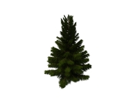 Coniferous pine tree 3d model 3ds max files free download - CadNav