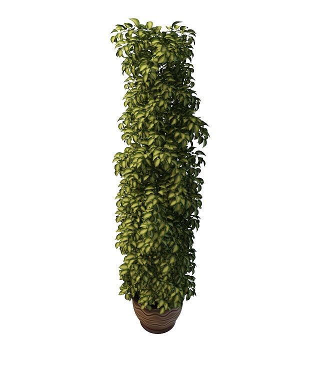 Tall potted plant 3d rendering