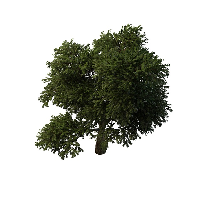 Flourishing tree 3d rendering