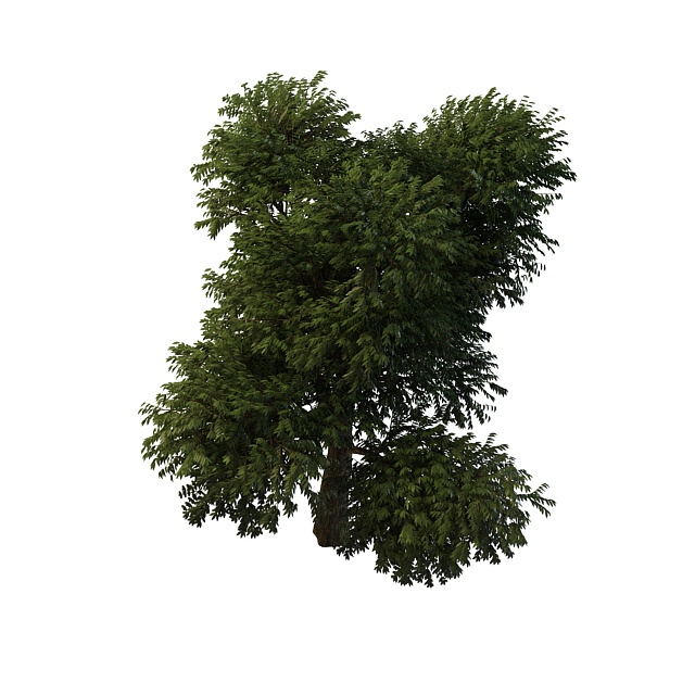 Flourishing tree 3d rendering
