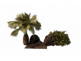 Bottle palm tree and shrub 3d preview