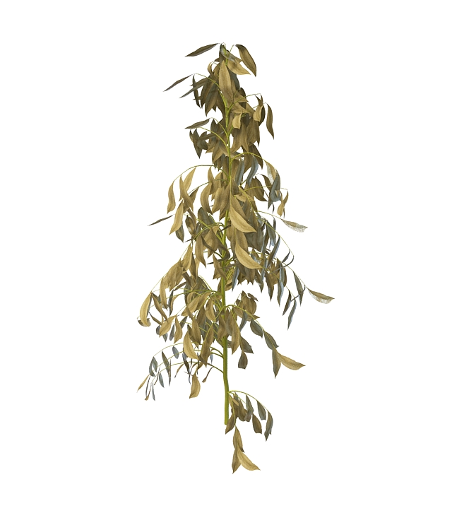 Withered tree branch 3d rendering