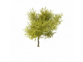 Spring willow branches 3d preview