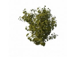 Poplar tree branch 3d model preview