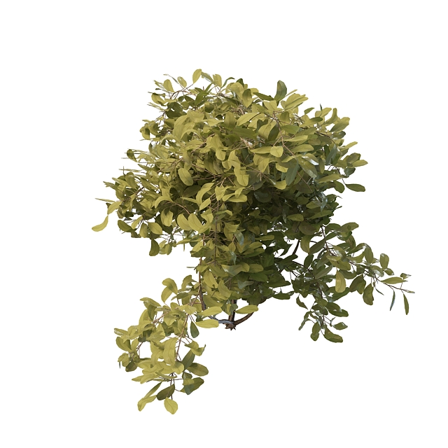 Green shrubs  for landscaping 3d  model  3ds max files free 