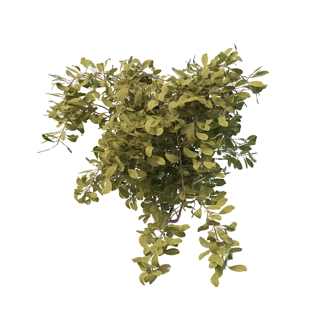 Green shrubs  for landscaping 3d  model  3ds max files free 
