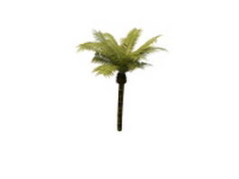 Palm tree 3d model preview