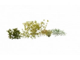 Shrubs and bushes for landscaping 3d model preview