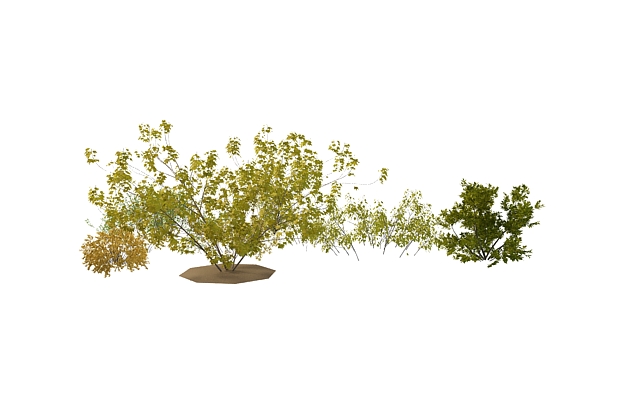 Shrubs and bushes for landscaping 3d rendering