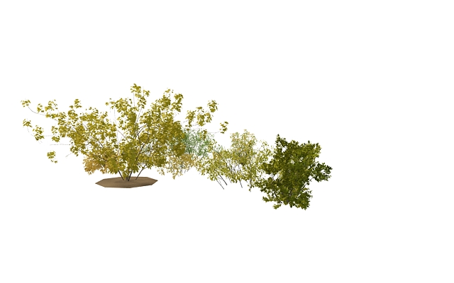 Shrubs and bushes for landscaping 3d rendering