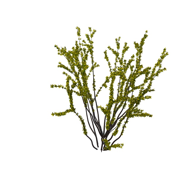 Spring shrub 3d rendering