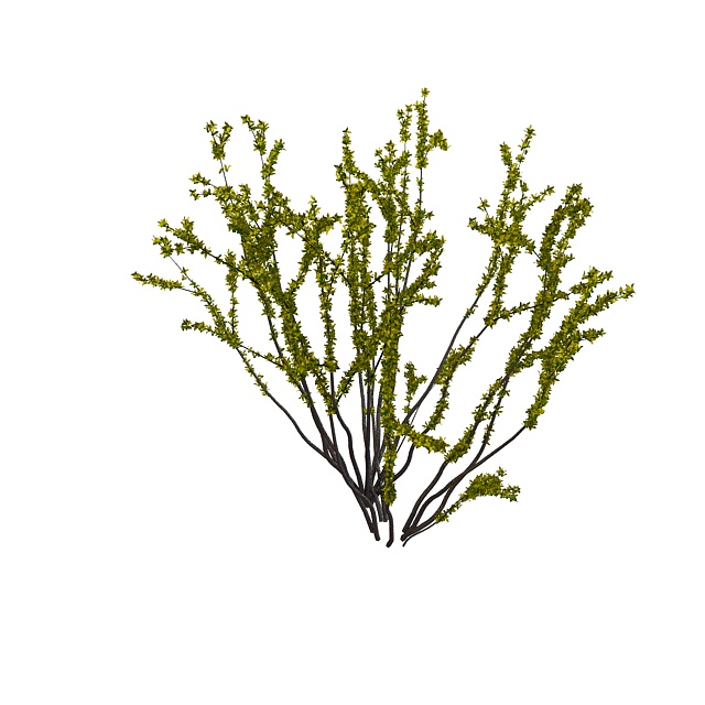 Spring shrub 3d rendering