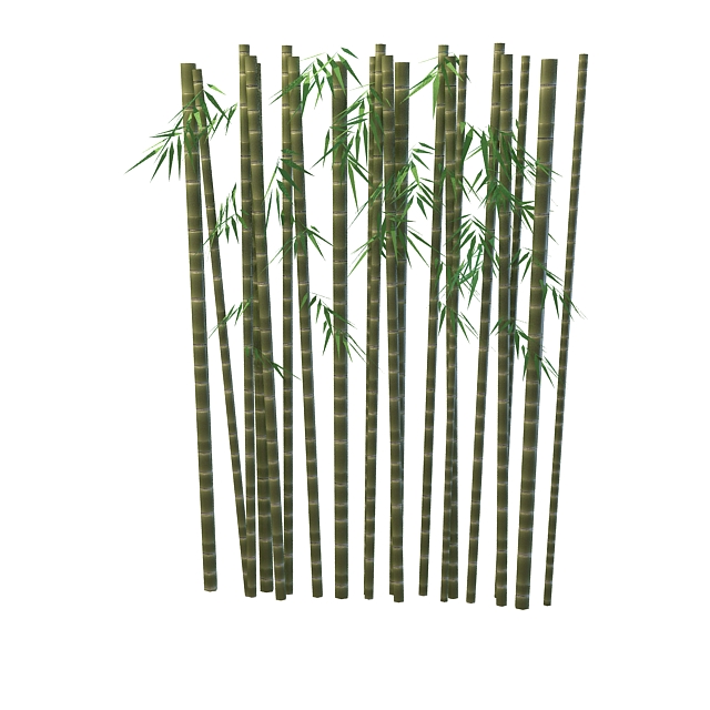 Bamboo trunk with leaves 3d rendering