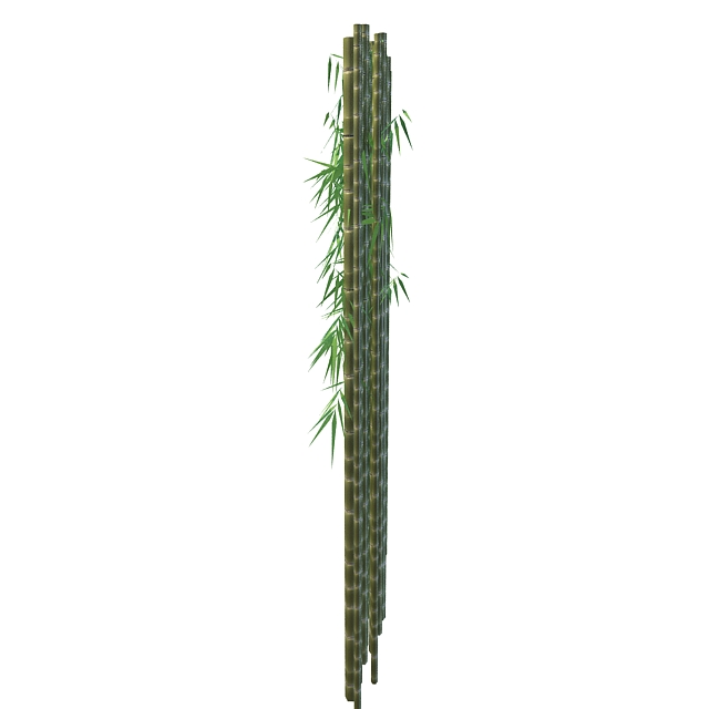 Bamboo trunk with leaves 3d rendering