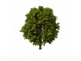Lefty big tree 3d model preview