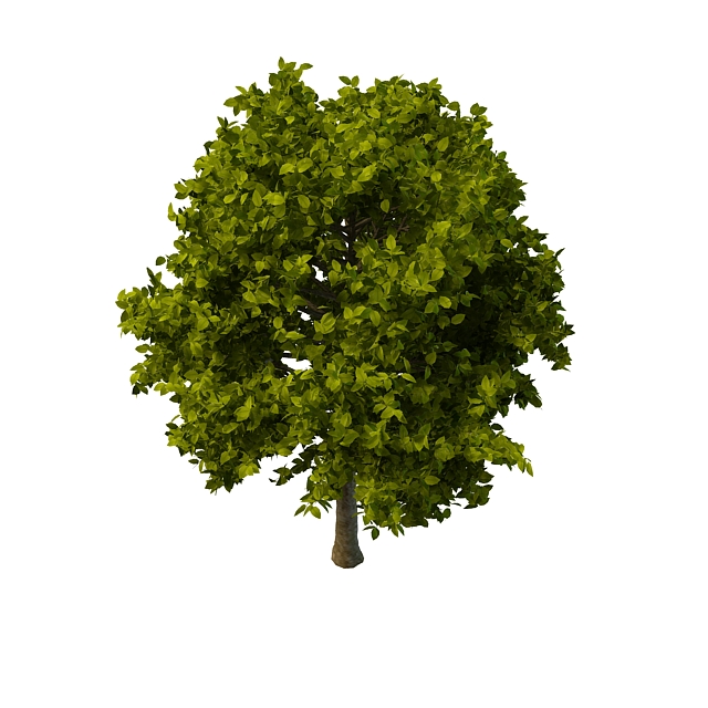 Lefty big tree 3d rendering
