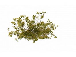 Yellow berry bushes 3d model preview