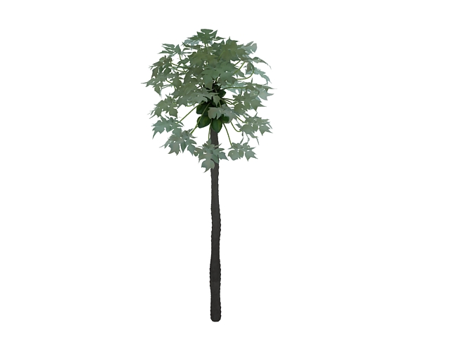 Tree with fruits 3d rendering