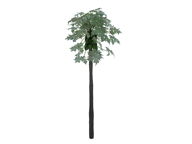 Tree with fruits 3d rendering
