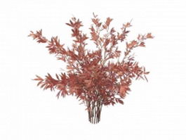 Pink shrub for landscaping 3d model preview