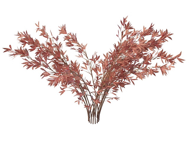 Pink shrub for landscaping 3d rendering