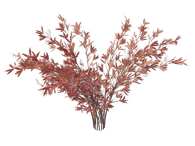Pink shrub for landscaping 3d rendering