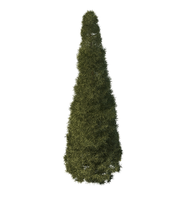 Pencil pine tree 3d rendering