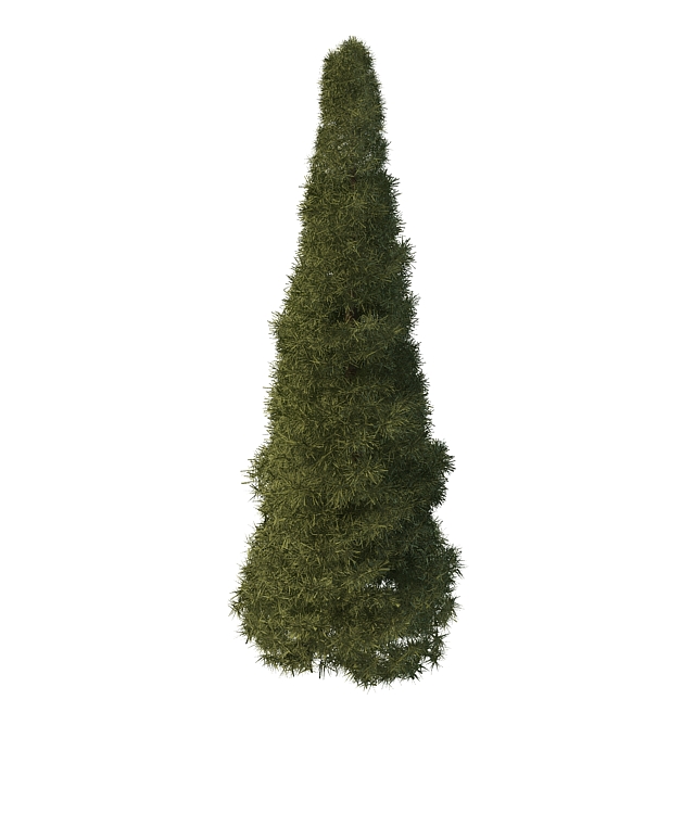 Pencil pine tree 3d rendering