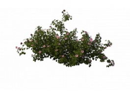 Pink flowering shrubs 3d model preview