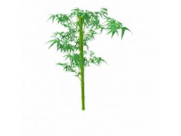 Green bamboo stem with leaves 3d model preview
