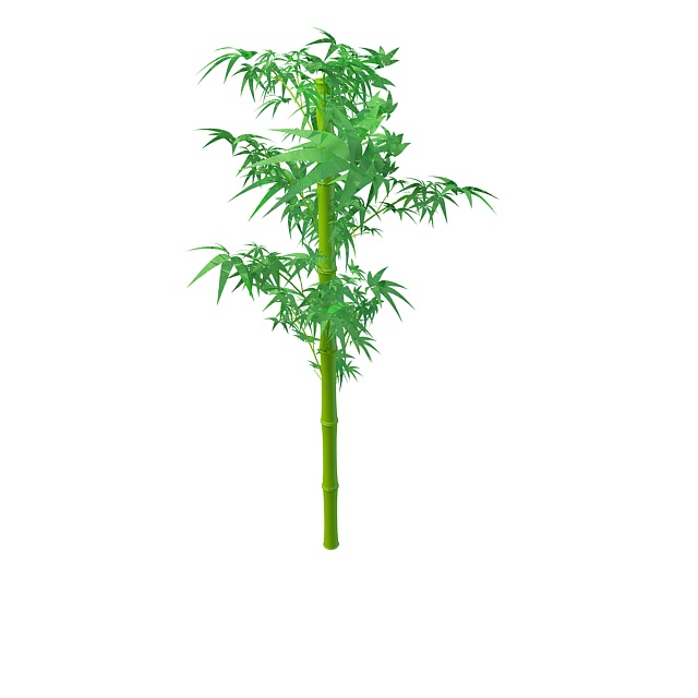 Green bamboo stem with leaves 3d rendering