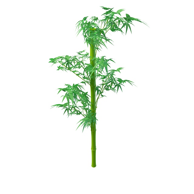 Green bamboo stem with leaves 3d rendering
