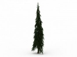 European silver fir tree 3d model preview