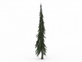 Tuscan cypress tree 3d model preview