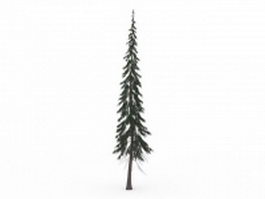 Subalpine fir tree 3d model preview