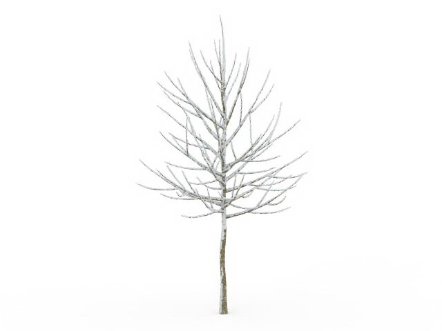 Snow covered tree 3d rendering