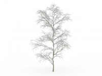 Snow covered tree in winter 3d model preview