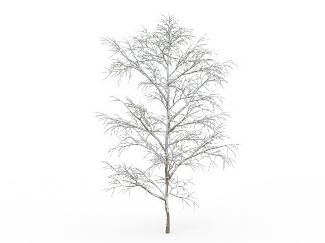 Snow covered tree in winter 3d rendering