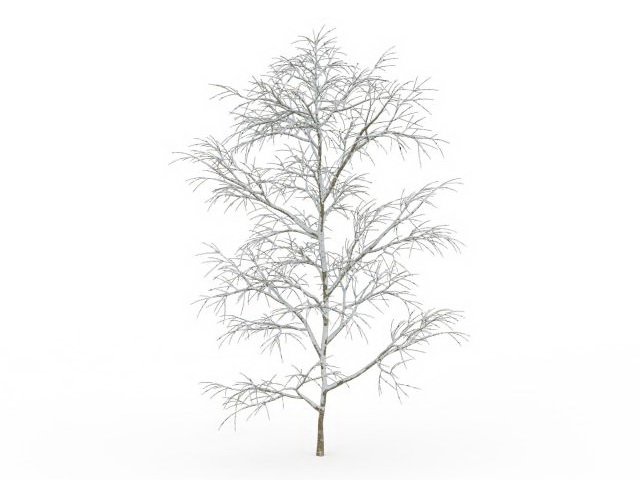 Snow covered tree in winter 3d rendering