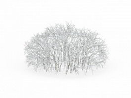 Pretty snow covered shrubs 3d model preview
