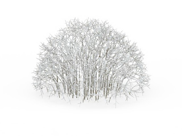 Snow covered shrubs 3d rendering
