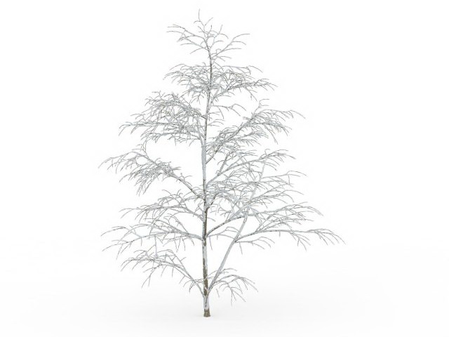 Snow-covered tree 3d rendering