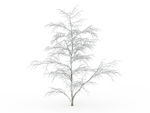Snow-covered tree 3d rendering
