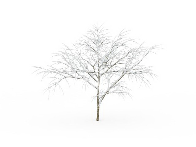 Snow tree 3d rendering