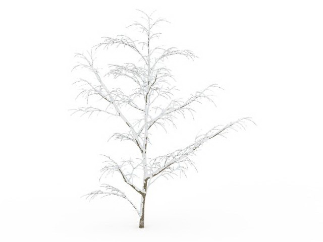 Winter snow tree 3d rendering