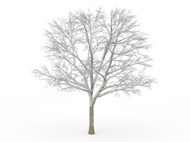 Beautiful snow tree 3d rendering