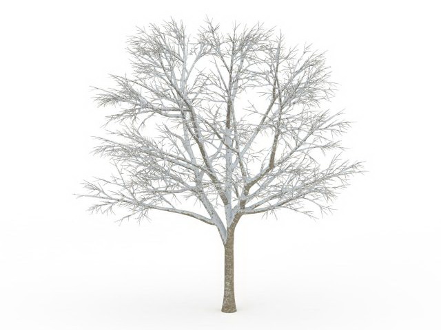 Beautiful snow tree 3d rendering
