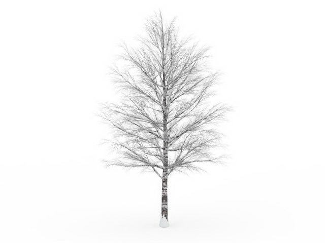 Snow covered bare tree 3d rendering