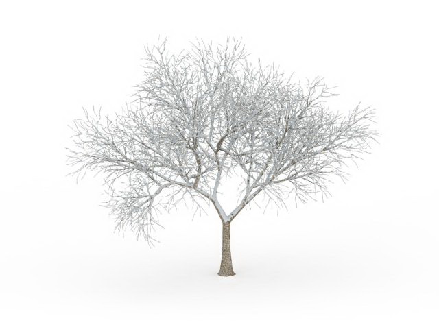 Tree in snow 3d rendering