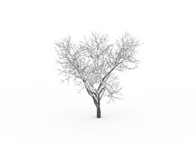 Snowy bare tree 3d rendering